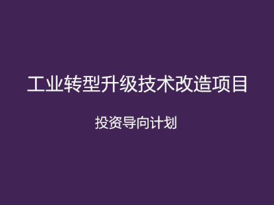 安徽省工業(yè)轉(zhuǎn)型升級技術(shù)改造項目投資導向計劃申報條件